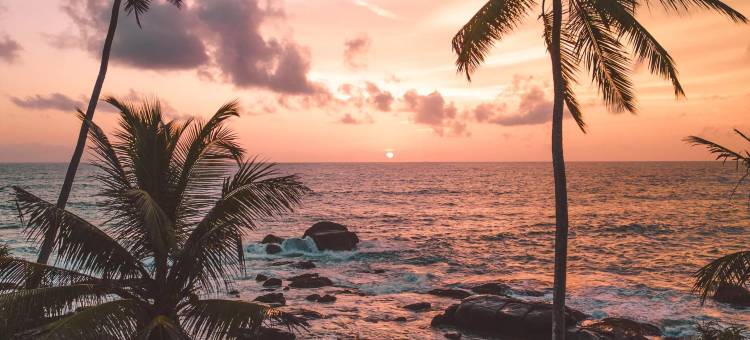 阿胡湾(Ahu Bay)图片