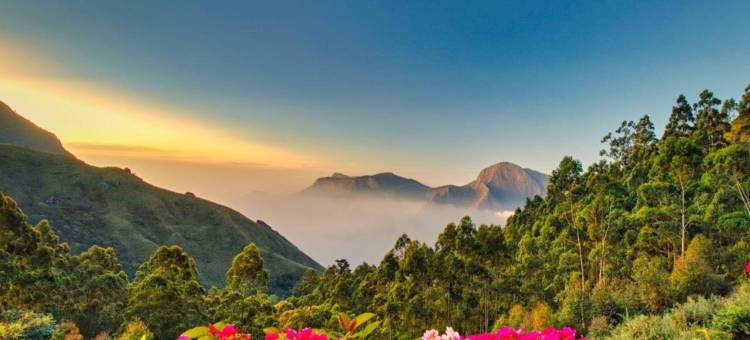 钱迪斯小雨滴酒店(Chandys Drizzle Drops - Munnar Top Station)图片