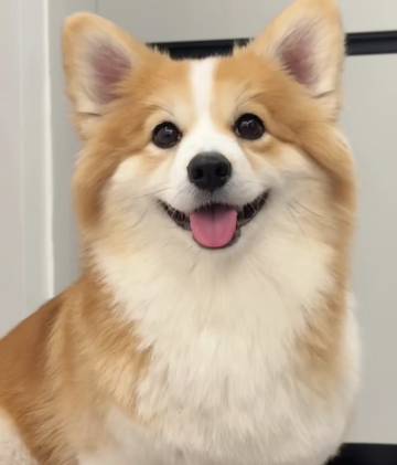 花筑·崇明漫墅美郡民宿图片