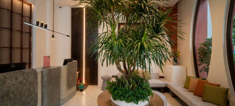 西贡精品酒店(Me Saigon Boutique Hotel)图片