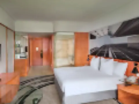 高級客房, 1張大床