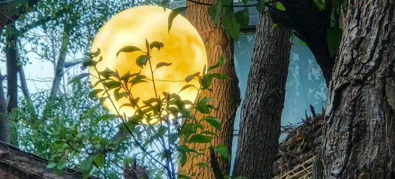 南京勐拉温泉汤屋民宿图片