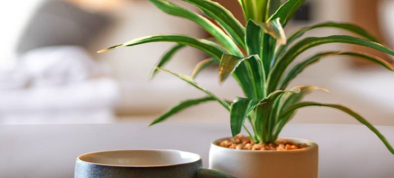 住一黒门2号店(Apartment Hotel 11 Kuromon II)图片