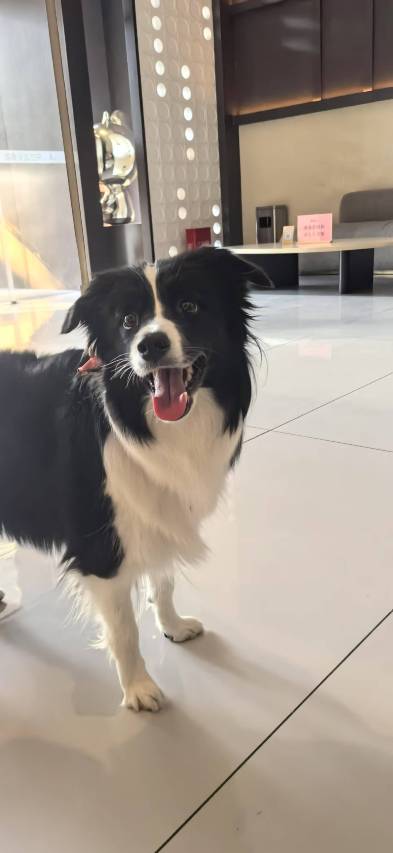 朵兰达V酒店(岳阳楼步行街店)图片