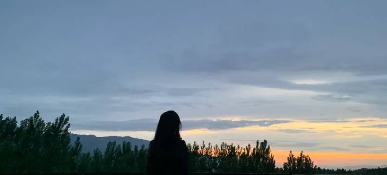 那拉提乌孙杉云居图片