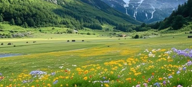 Princess·吉舍·花镜庄园欧式度假小屋图片