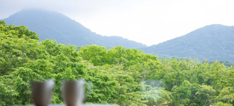 东急假期酒店 箱根强罗(Tokyu Vacations Hakone Gora)图片