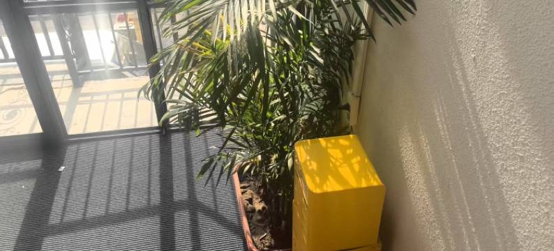 禾悦小住轻奢公寓(万达广场店)图片