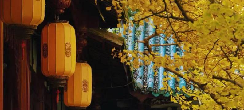 鹿喜·山屿酒店(崇州市政府罨画池店)图片