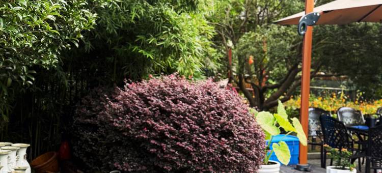 福山小樽·FU VILLA 半山美宿(景德镇三宝国际陶艺村店)图片