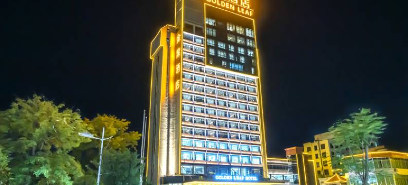 普宁金叶酒店图片