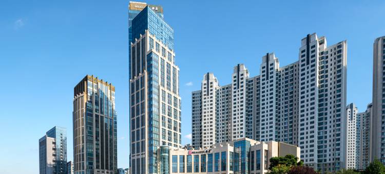 邯郸华邑酒店图片