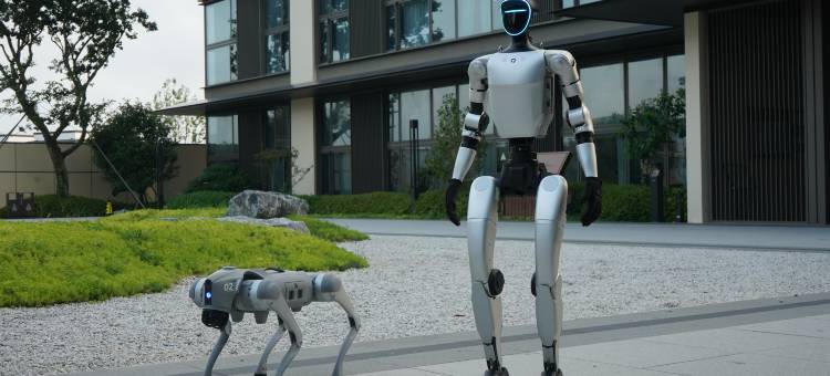 朱家尖瑞悦度假酒店(蜈蚣峙码头普陀山机场店)图片