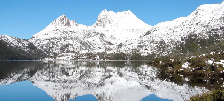 摇篮山高山度假村(Cradle Alpine Retreat)图片