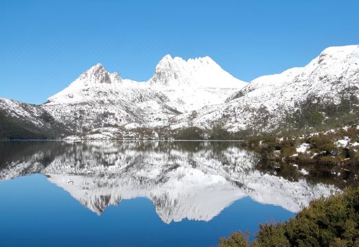 Cradle Alpine Retreat Hotel Overview