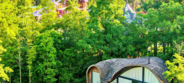 树蛙部落(仙女湖店)图片