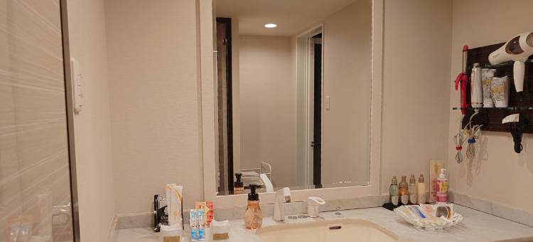 阿卡里酒店(Hotel Akari)图片