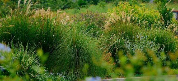 峨眉山高桥里恒邦·涵田度假酒店图片