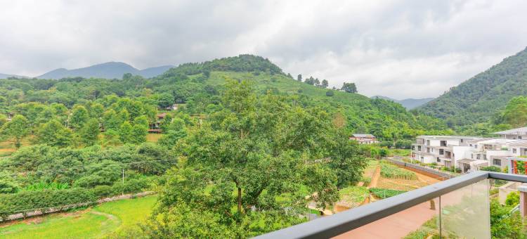 丫山旅游度假区木艮山房民宿图片