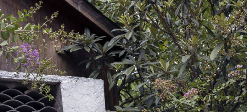 南京勐拉温泉汤屋民宿图片