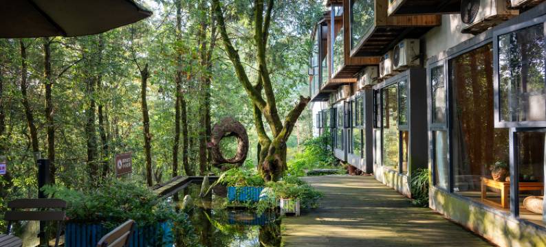 武定狮子山陌上云来酒店图片