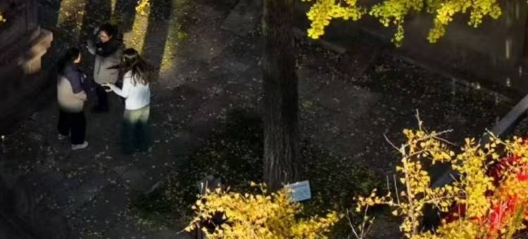 盐官潮乐之城警官公寓图片