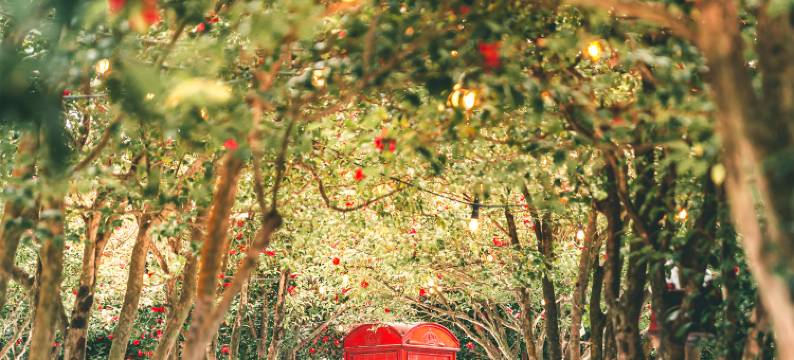 生态乐园酒店(Ecoland Hotel)图片