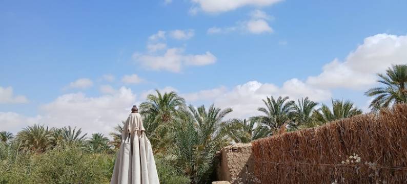 Tanirt Ecolodge Siwa Oasis图片