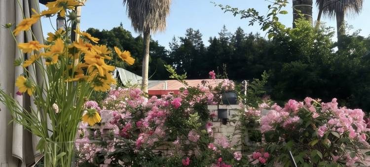 马鞍山居精致民宿(恩施土家女儿城店)图片