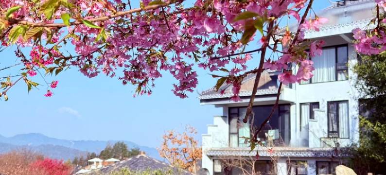 瀚德山居Retreat·樱花主题度假庄园图片