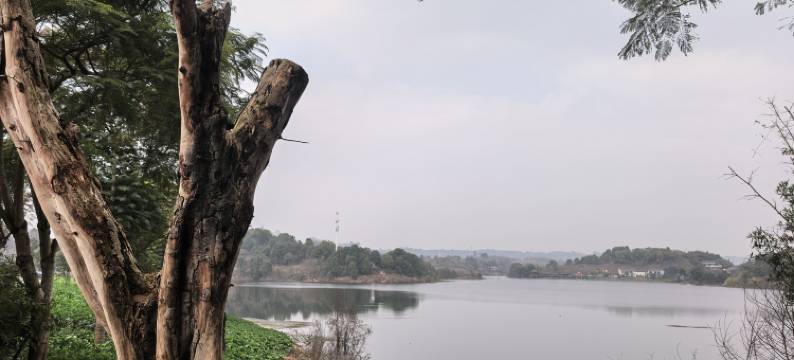 自贡骞云居民宿图片