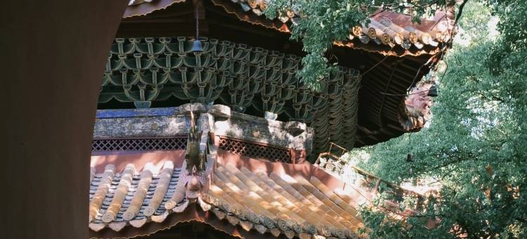 衡山结缘居·Villa丨一揽山野·度假美墅图片