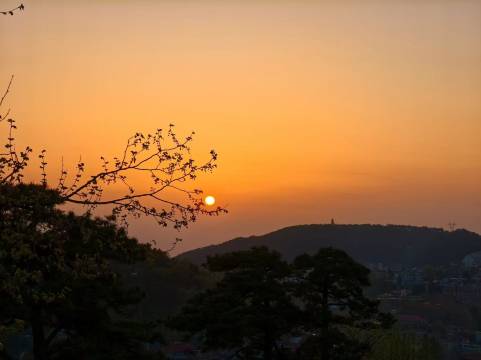 庐山花间岭·莲花山房图片