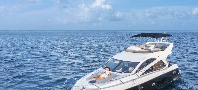 纳拉杜私人岛屿马尔代夫(Naladhu Private Island Maldives)图片