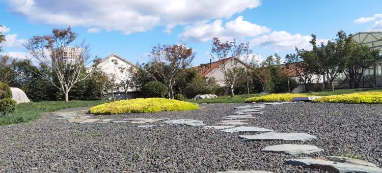 第五大道汤泉酒店图片