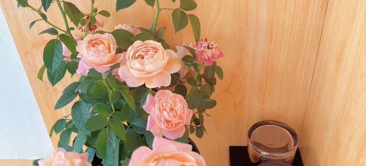 色达星辰酒店图片