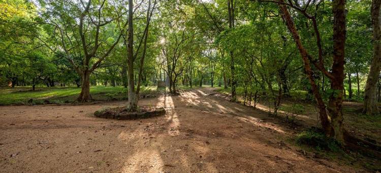 妙遇河居·丹布勒 | 奇遇系列(The River House Dambulla The Serendipity Collection)图片