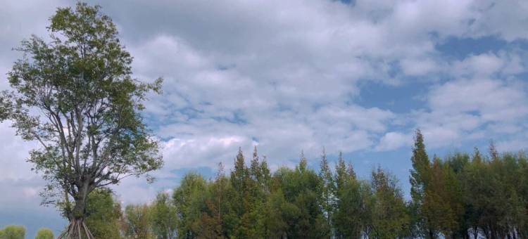 大理屿你民宿(洱海店)图片