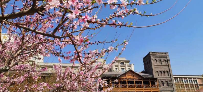 天津利顺德大饭店图片