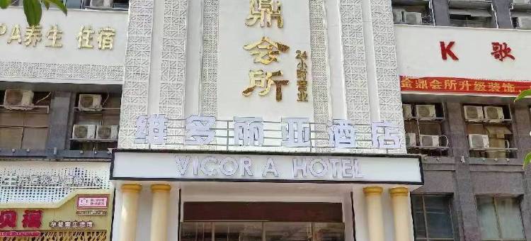 维多丽亚酒店(丰跃名城市政府店)图片