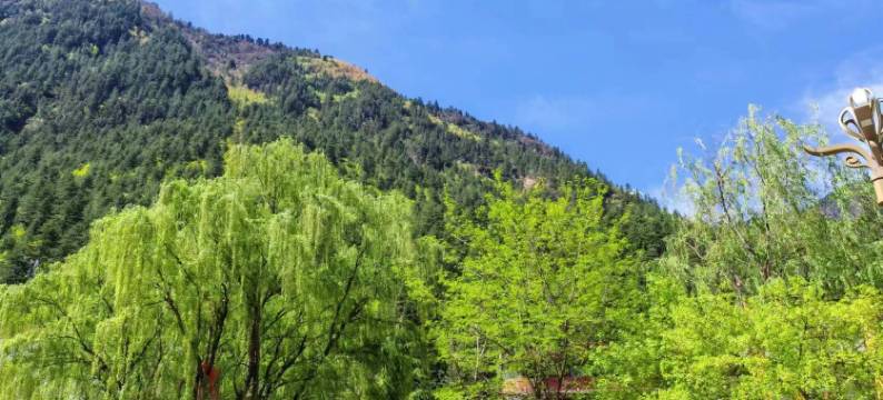 九寨沟圆梦假日酒店(九寨沟景区店)图片