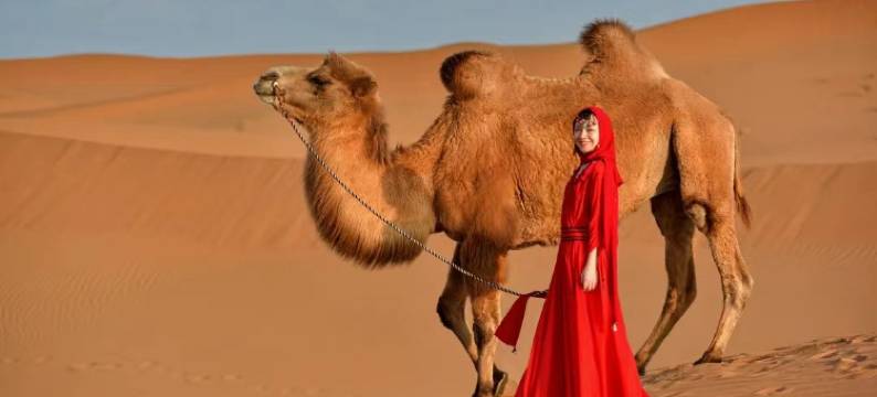 漠境·星河沙漠观景露营地图片