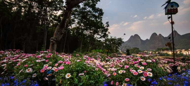 万峰林事无花径民宿图片