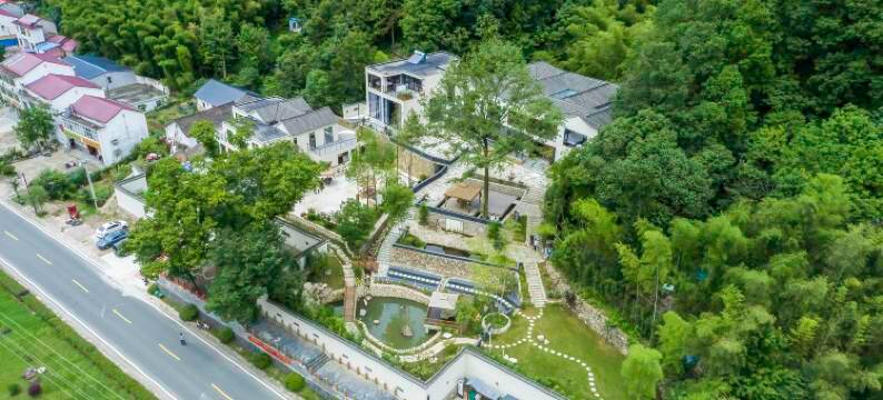 龙吟古树茶宿图片