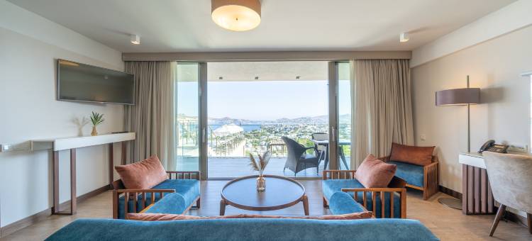 雅利卡瓦克-斯佩克特精品酒店(Spektr Boutique Hotel Yalikavak)图片