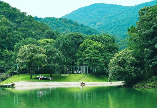 Habitat Creek VillaHotel Overview