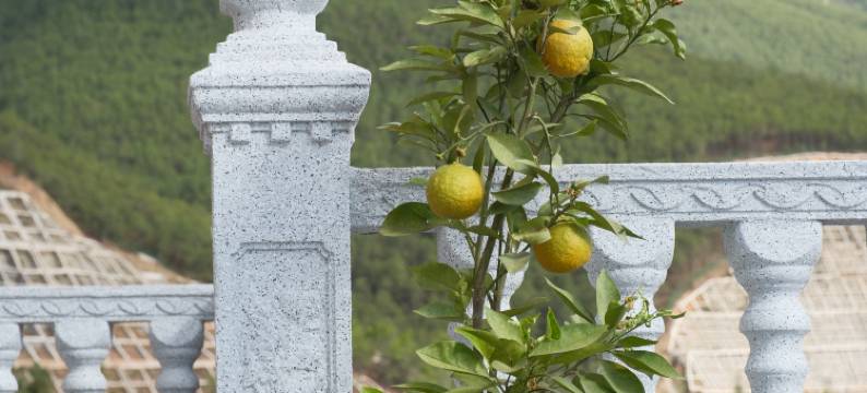 随心便签民宿图片