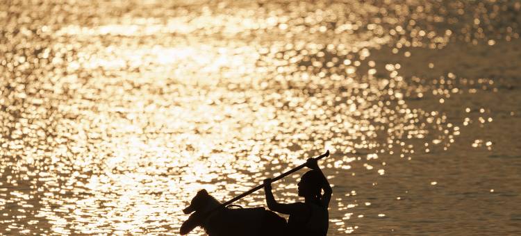 咏歸川·武宁西海度假酒店图片