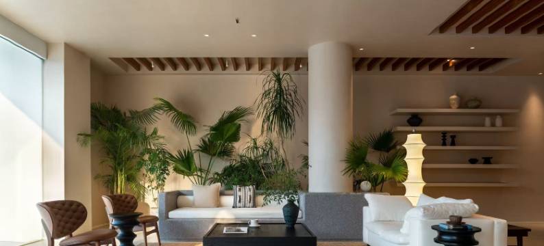 雾观山·山野宿图片