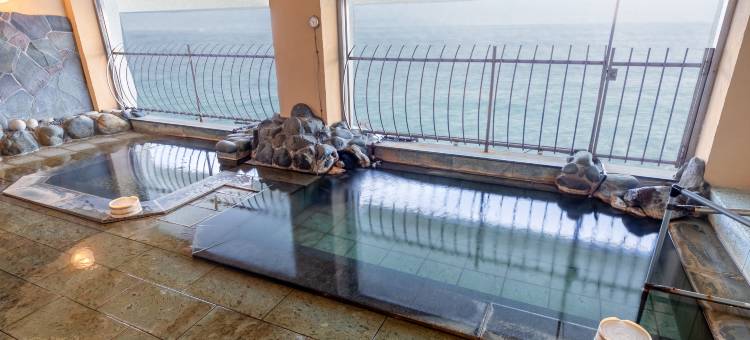 热川温泉蓝海酒店(Atagawa Onsen Blue Ocean)图片